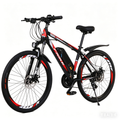 250W Electric Mountain Bike FRK-3 | Best Ebike Australia